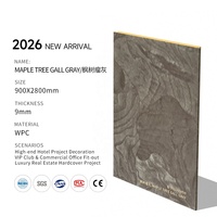 Nouveau panneau mural WPC Raypai 2026 en texture bois moderne, résistant à l'humidité, pour décoration de chambres, salons, clubs VIP et hôtels