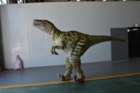 Costume de dinosaure animatronique personnalisé, modèles animatroniques, animatroniques d'Halloween, costume de raptor, costume réaliste géant