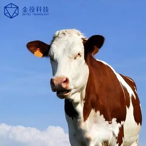 Оптовая продажа: Ультрадальний RFID-чип-метка (860-960 МГц) для животных, UHF RFID-метка для ушей коров, овец, крупного рогатого скота для системы отслеживания скота - Product Image 2