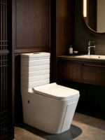WC monobloc moderne en céramique avec siphon de pompage, forte puissance de chasse, fonctionnement silencieux, fermeture lente, désodorisant, grande capacité pour cuisine
