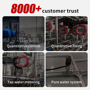 Olievolumemeter Waterstroommeter Brandstofvolumemeter Maritiem 50mm Watermeter Prijs - Product Image 4