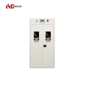 EP OEM Laboratory Gas Cylinder Cabinet Furniture Chemical Flammable Storage Cabinet Equipment Steel Safety Storage Gas Cabinets