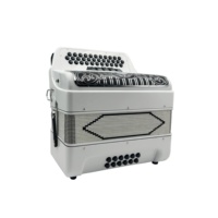 Accordéon Diatonique Professionnel SEASOUND OEM JB3412D 34 Boutons 12 Basses 5 Registres Blanc Brillant Noir Grille Argentée