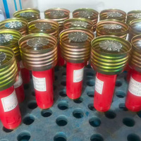 Délai de livraison rapide, sprinkleur d'incendie à bulbe en verre de type sec, sprinkleur d'incendie sec avec bulbe en verre de 68 degrés