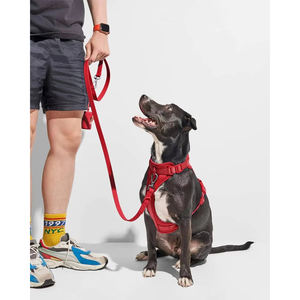 <span class=keywords><strong>Harness</strong></span> Anjing Besar yang Dapat Disesuaikan, Tahan Lama dari Neoprene dengan Kapas Space, Nilon Bernapas, Nyaman, Tanpa Tarik, Bergaya Sporty dan Modis - Product Image 4
