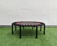 Zoshine Outdoor Fitness Exercice Workout Trampoline coloré pour adultes et enfants Acier PVC Polypropylène avec mousse pour usage domestique