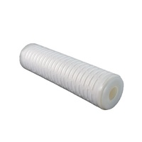 Cartouche filtrante en membrane PTFE hydrophobe 0,22 µm abordable, filtre de ventilation économique 10 pouces pour réservoirs ou air de processus basique