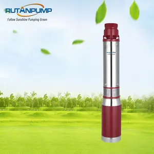 Pompe idrauliche ad energia solare della pompa idraulica solare del pozzo profondo 120V 1000W di migliore prezzo di RUTAN per agricoltura per la piscina di agricoltura
