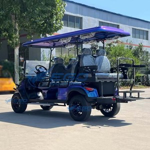 Carritos de Golf Eléctricos de 4 Ruedas de Lujo de la Mejor Calidad, Precios Económicos, Carrito Tipo Buggy en Venta, Carrito de Golf Pequeño Azul - Product Image 5