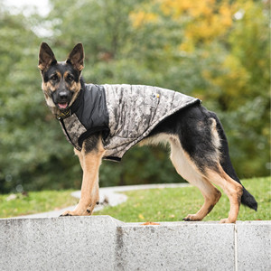 US Army Dog <b>Jacket</b> - <b>Camo</b> - Product Image 4