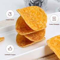 Hete Aanbieding Topkwaliteit Snacks Tomatensmaak Gekruide Grote Aardappelchips Snack voor Onderweg