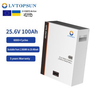 Lvtopsun Lifepo4 Pil Paketi 25.6V100Ah 2.56kWh Ev Enerji Depolama Pili Güneş Enerjisi Lifepo4 Pil CE&UN38.3 Onaylı - Product Image 1