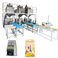 Machine d'emballage automatique de granulés FFS en plastique alimentaire numérique de 25 kg 50 kg avec une productivité élevée