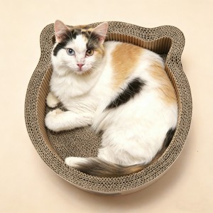 Rascador <span class=keywords><strong>para</strong></span> <span class=keywords><strong>Gatos</strong></span> <span class=keywords><strong>de</strong></span> Cartón Corrugado Personalizado <span class=keywords><strong>de</strong></span> Fábrica, Ecológico y Duradero, Tabla Rascadora <span class=keywords><strong>para</strong></span> <span class=keywords><strong>Gatos</strong></span> - Product Image 6