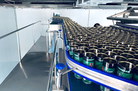 Usine de traitement clé en main pour le remplissage automatique à chaud de petites canettes de café glacé et de jus de raisin