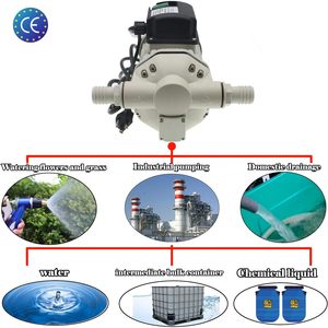 Bomba de diafragma de 10.6 GPM, 115 VCA, 23 PSI, con salida de 1 pulgada, autocebante, eléctrica, para riego. - Product Image 3