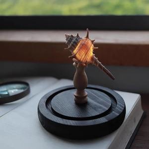 <b>Shell</b> Sea Urchin Lamp Study Desk Decoration Ornament Indoor Room Bedside Night <b>Light</b> Handmade Diy Material Package Holiday Gift - Product Image 6
