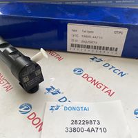 Injecteur Common Rail DELPHI 28229873 pour HYUNDA KIA 33800-4A710