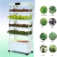Système de culture hydroponique verticale, 2 pièces, serre agricole, prix de plantation à l'intérieur