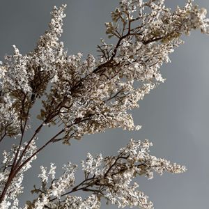 H-767 artificielle <span class=keywords><strong>Berry</strong></span> tige plantes mousse longue branche tige pour noël choix mariage maison fête centres <span class=keywords><strong>de</strong></span> table décor couronne - Product Image 3