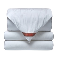 Couette en soie douce 100% couette remplie de soie de mûrier été hiver Offres Spéciales couette