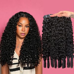 Extensions de <span class=keywords><strong>cheveux</strong></span> humains <span class=keywords><strong>bouclés</strong></span> birmans 20 22 24 pouces 3C/4A, mèches vierges avec pointes bouclées en <span class=keywords><strong>spirale</strong></span>, qualité 12A, non traitées, noir naturel - Product Image 1