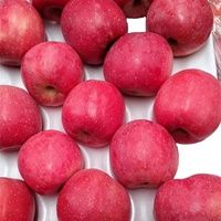 Fruit de pomme Fuji rouge frais pomme HUaniu rouge chinoise pommes rouges douces