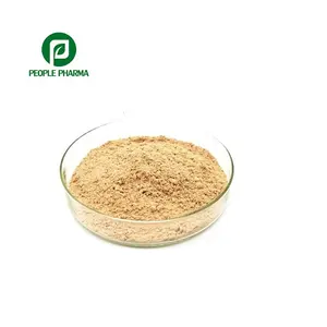 5.0% metodo di prova ginsenosidi campione gratuito UV ISO22000 produttore certificato estratto di radice di Ginseng americano in polvere