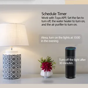 Tuya Smart Home 10A Energie monitor Mini-Steckdose WiFi-Stecker mit Zeit funktion, Alexa Google Assistant Control Kein Hub erforderlich