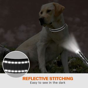 Collier pour chien rembourré réfléchissant, réglable, en nylon souple et respirant, avec boucle de sécurité pour animaux de compagnie et chiens - Product Image 4