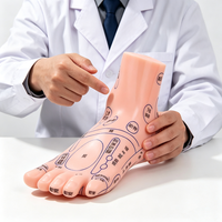 Modelo Anatómico de Puntos de Acupuntura del Pie HZMIM HZ para el Aprendizaje de la Medicina Tradicional China, Cuerpo Humano, CE/ISO