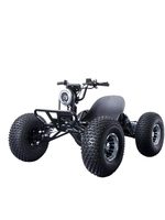 Nouvelle Voiture de Karting Électrique Tout-Terrain 2025 – Buggy des Dunes avec Batterie Amovible pour Courses en Extérieur en Australie