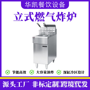 Commercial Gas Fryer Stainless Steel Single Double Cylinder Hotel Kitchen Equipment - Product Image 4