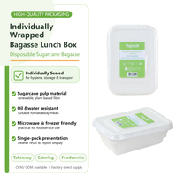 Plaque de bagate jetable biodégradables, récipient alimentaire 100, pour les aliments à emporter