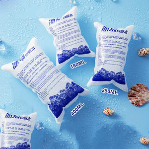 Toptan özel kullanımlık büyük soğuk kuru buz jel buz paket çantası nakliye için - Product Image 2