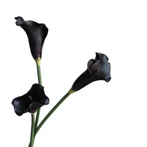 Fleurs artificielles au toucher réel, lys d'<span class=keywords><strong>arum</strong></span>, lys calla en PU, fleurs décoratives pour mariage, décoration de la maison, Noël, remise de diplôme - Product Image 6