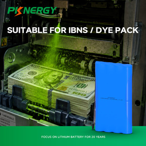 Batteria Ricaricabile agli Ioni di Litio OEM 7.4v 10400mAh 18650 per IBNS/DYE PACK - Product Image 6