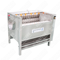 Automatische Zeevruchten Slak Schelpdieren Schoonmaken Oester Wasmachine Witte Radijs Borstel Wasmachine