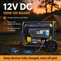 Générateur portable 5000 W, sortie 230 V 12 V CC, démarrage électrique pour le camping, la caravane et l'alimentation des bateaux