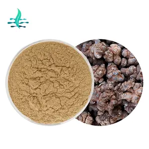 Nhà máy cung cấp chất lượng cao Panax notoginseng chiết xuất từ rễ notoginsenoside