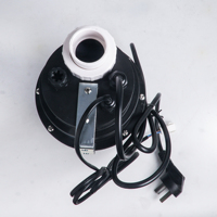Welltry 220V/110V Souffleur d'air chauffant pour spa, Pompe de hydromassage, Chauffe-eau, Pompe à remous pour baignoire, Fourniture d'usine