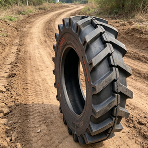 910 250-20 Agricultural <b>Tractor</b> <b>Tires</b>, Wear-resistant and Durable, Brand New <b>Tires</b> 910 250-20 - Product Image 1