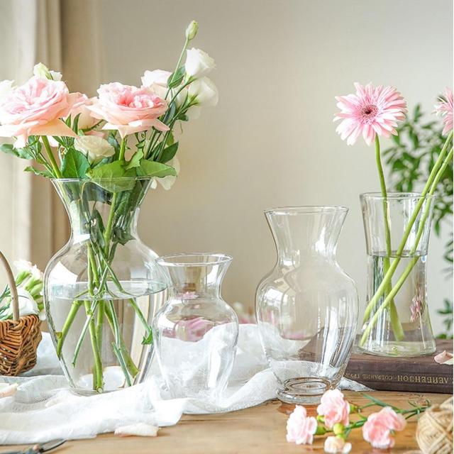 2026 Hot Simple Glass Transparent Glass Vase Flower Water Cultivation Creative Decorative Flower Arrangement Vase Ornaments