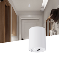 Ecolux Spot LED moderne réglable pour villa, immeuble de bureaux, économie d'énergie, indice de rendu des couleurs élevé, aluminium
