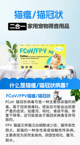 DVOT Frühschwangerschaftstest für Haustiere RLN Grenzüberschreitende Englische Verpackung Export Katzen- und Hundestreifen Kolloidale Gold-Technologie Modell PT-15 - Product Image 5
