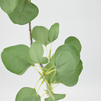 Tiges d'eucalyptus artificielles de haute qualité 105 cm avec motif argenté, plantes artificielles vertes pour la décoration de la maison et du bureau