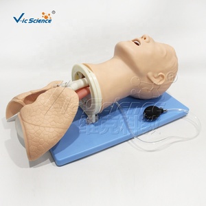 Modelo de Obstrucción de Vías Respiratorias Multifuncional Avanzado, Tamaño Real de Adulto, para Enfermería y Medicina - Product Image 6