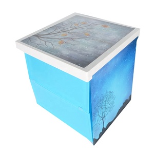 Gran descuento 4 patrones camas dobles con caja de almacenamiento - Product Image 1