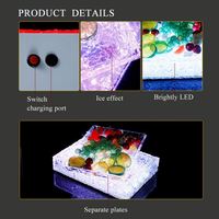 Bar Discothèque Barware Acrylique Métal Glowing Snack Plateau LED Assiette De Fruits Plateau De Service Tasse De Vin Bouteille En Verre Affichage Plateau De Service