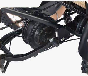 <span class=keywords><strong>Tricycle</strong></span> Électrique <span class=keywords><strong>Tout</strong></span>-<span class=keywords><strong>Terrain</strong></span> Robuste à Pneus Larges pour Adultes - Prix Usine - 7 Vitesses, Moteur Puissant, Transport de Marchandises - Product Image 3